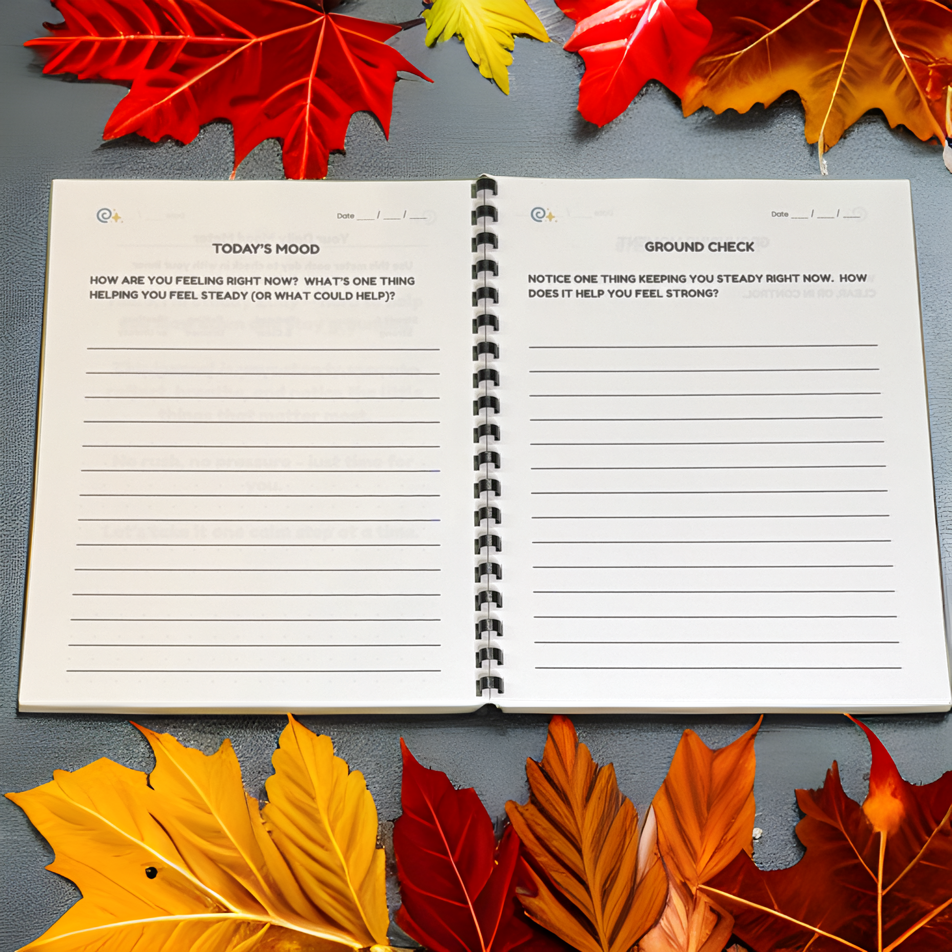 Steady Eddy Mooji Moments Journal