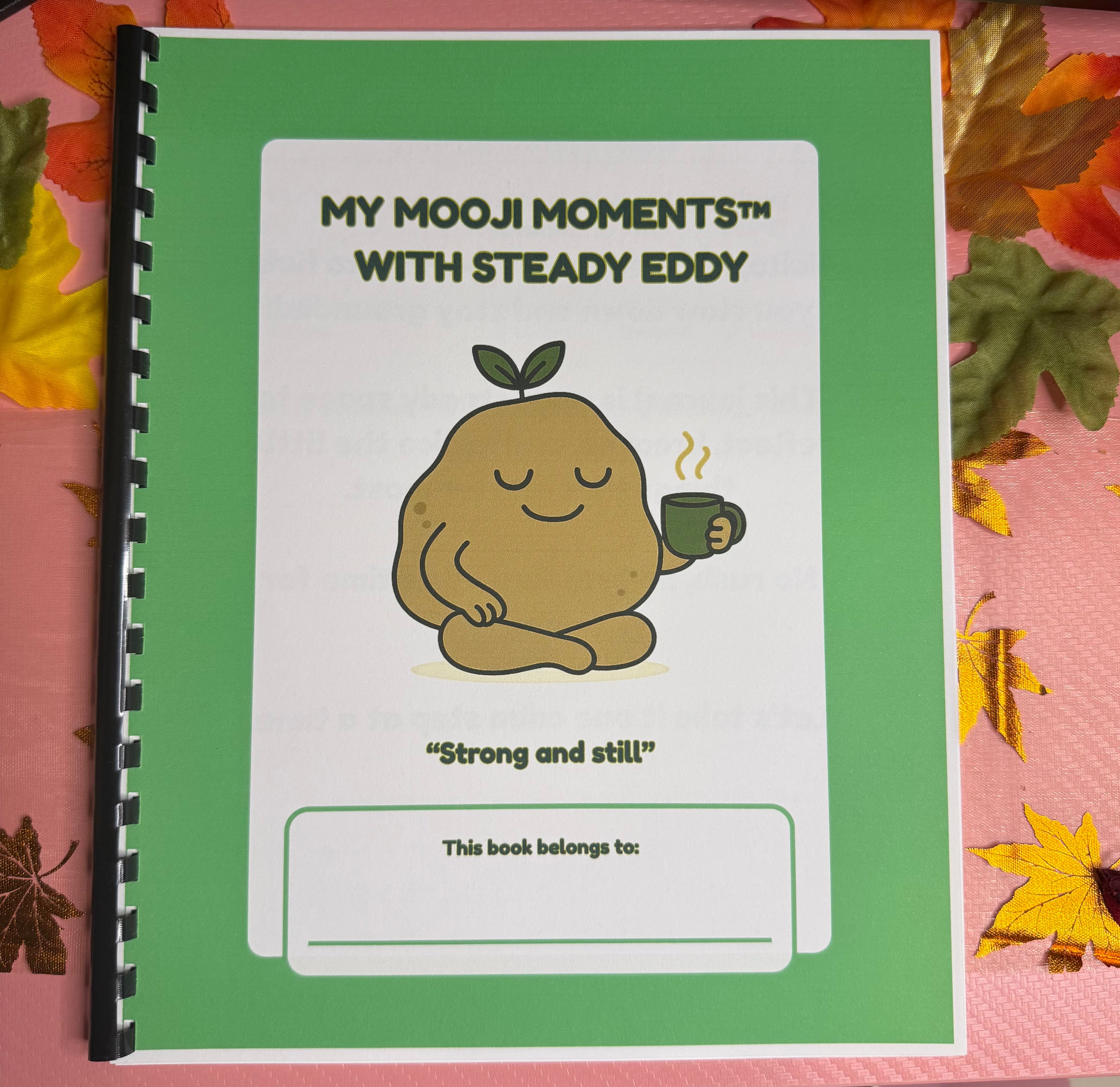 Steady Eddy Mooji Moments Journal